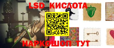 шишки Ярославль