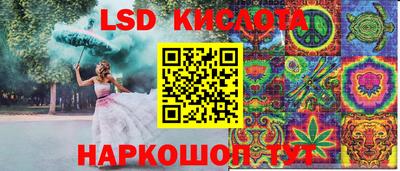 шишки Ярославль