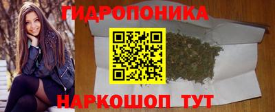 шишки Ярославль