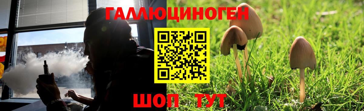 Галлюциногенные грибы Psilocybine cubensis Волгодонск